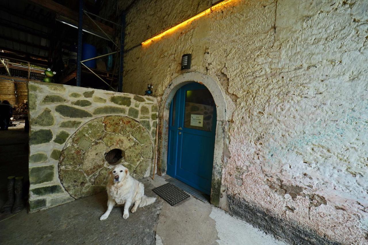 Room In Farmhouse Berkel Bockholtz Екстер'єр фото